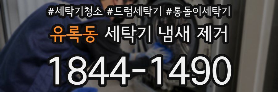 유록동 세탁기 냄새 제거