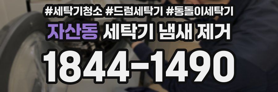 자산동 세탁기 냄새 제거