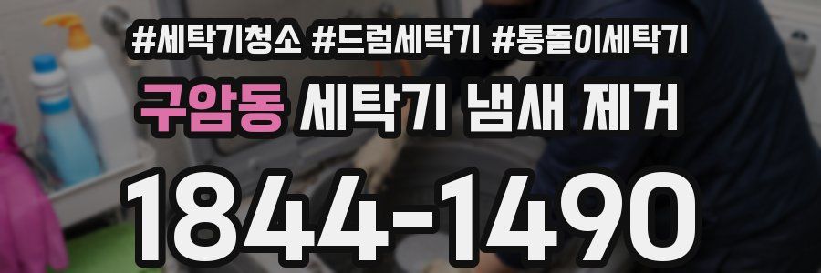 구암동 세탁기 냄새 제거