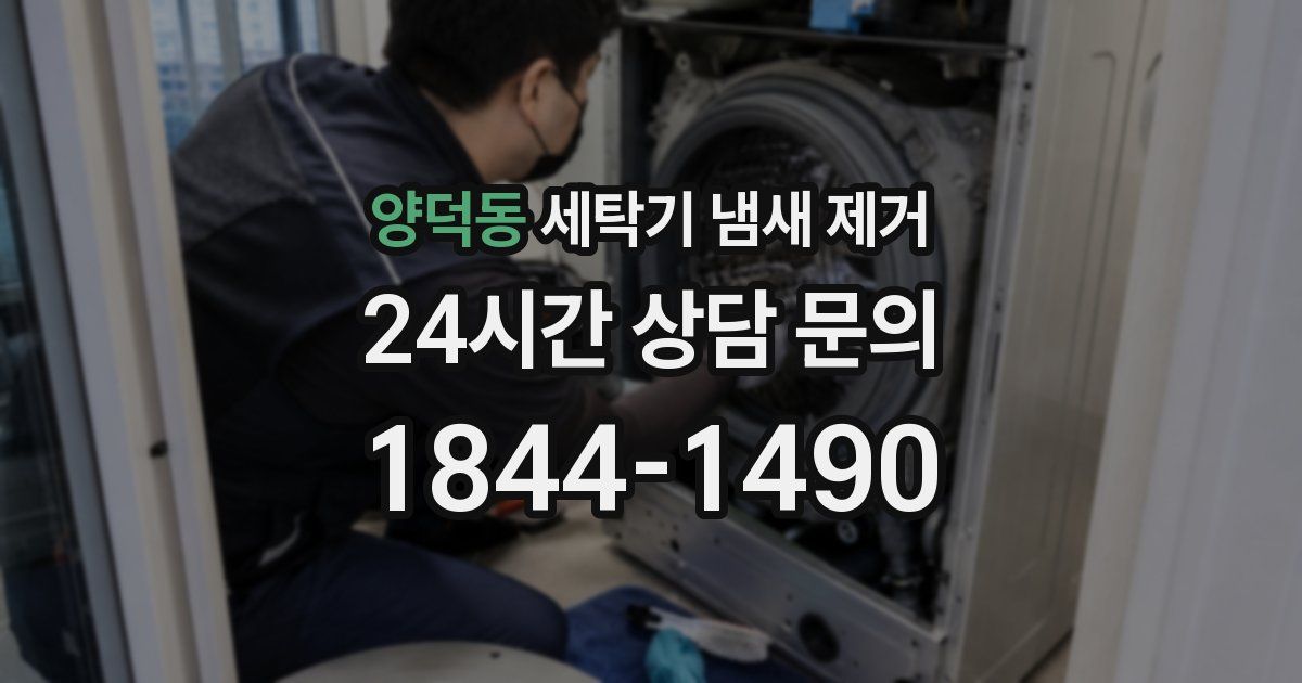 양덕동 세탁기 냄새 제거