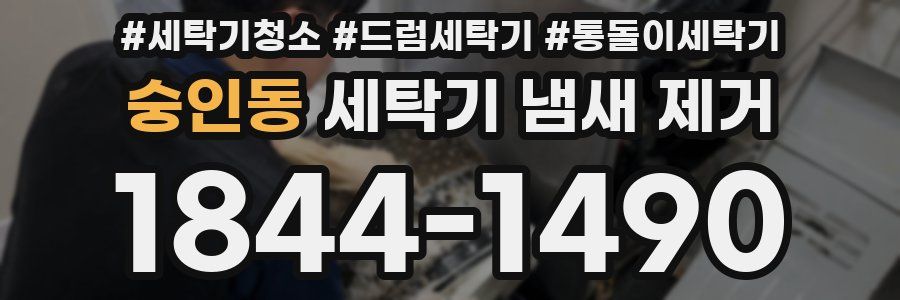 숭인동 세탁기 냄새 제거