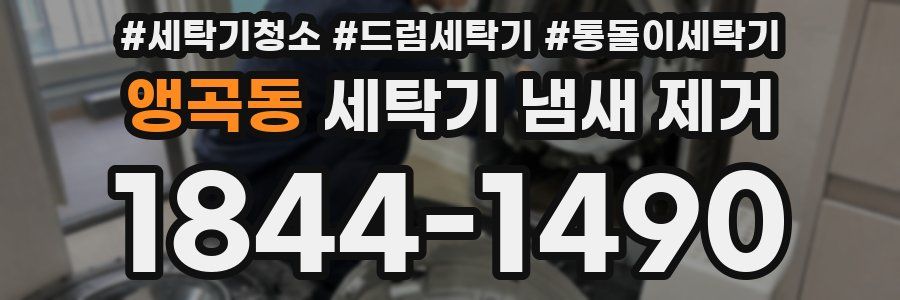 앵곡동 세탁기 냄새 제거