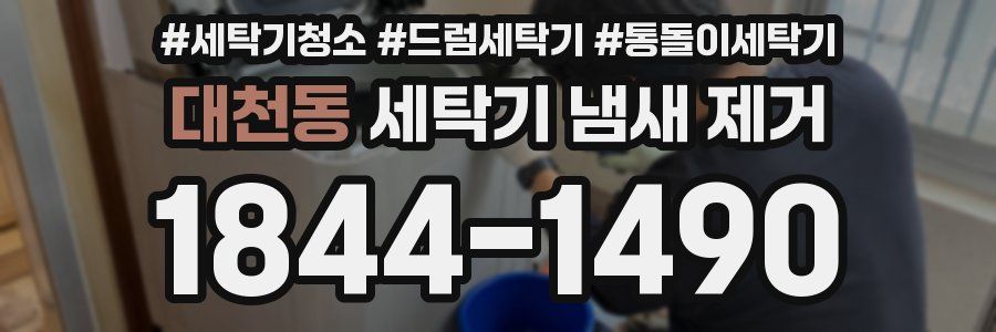 대천동 세탁기 냄새 제거