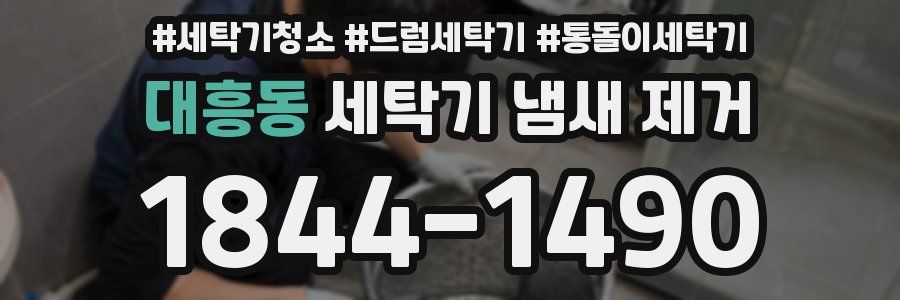 대흥동 세탁기 냄새 제거