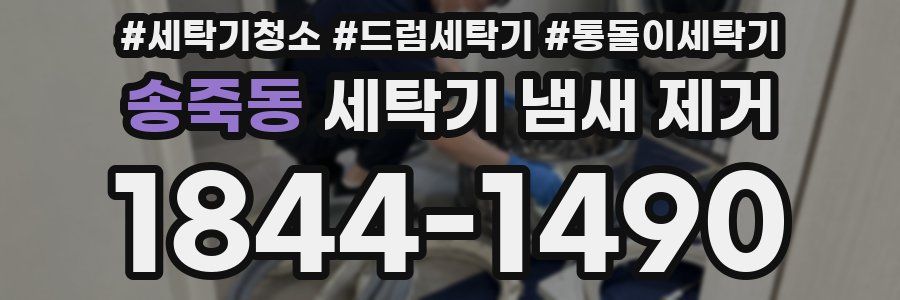 송죽동 세탁기 냄새 제거