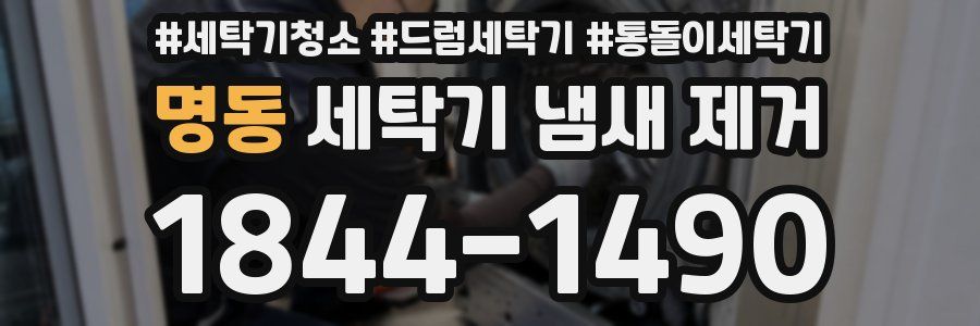 명동 세탁기 냄새 제거