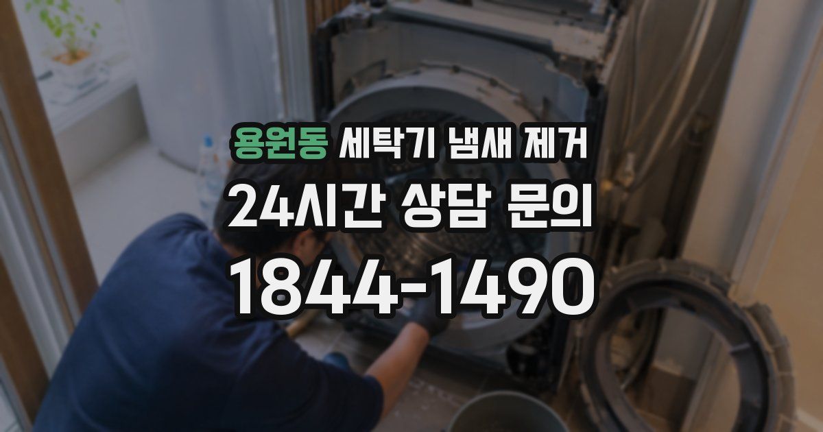 용원동 세탁기 냄새 제거