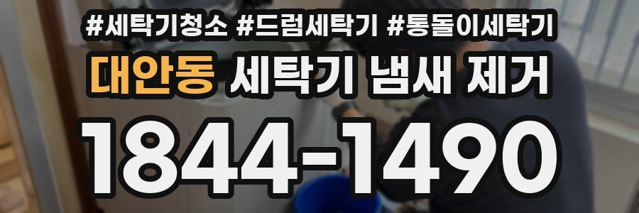 대안동 세탁기 냄새 제거