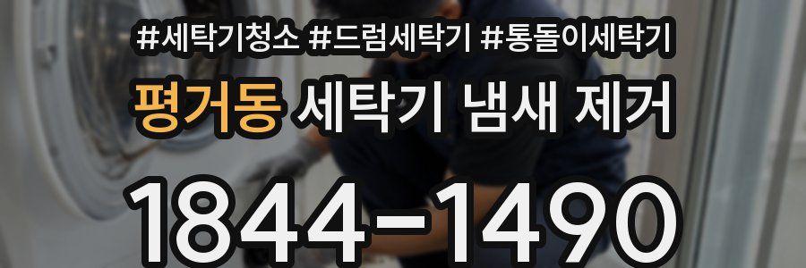 평거동 세탁기 냄새 제거