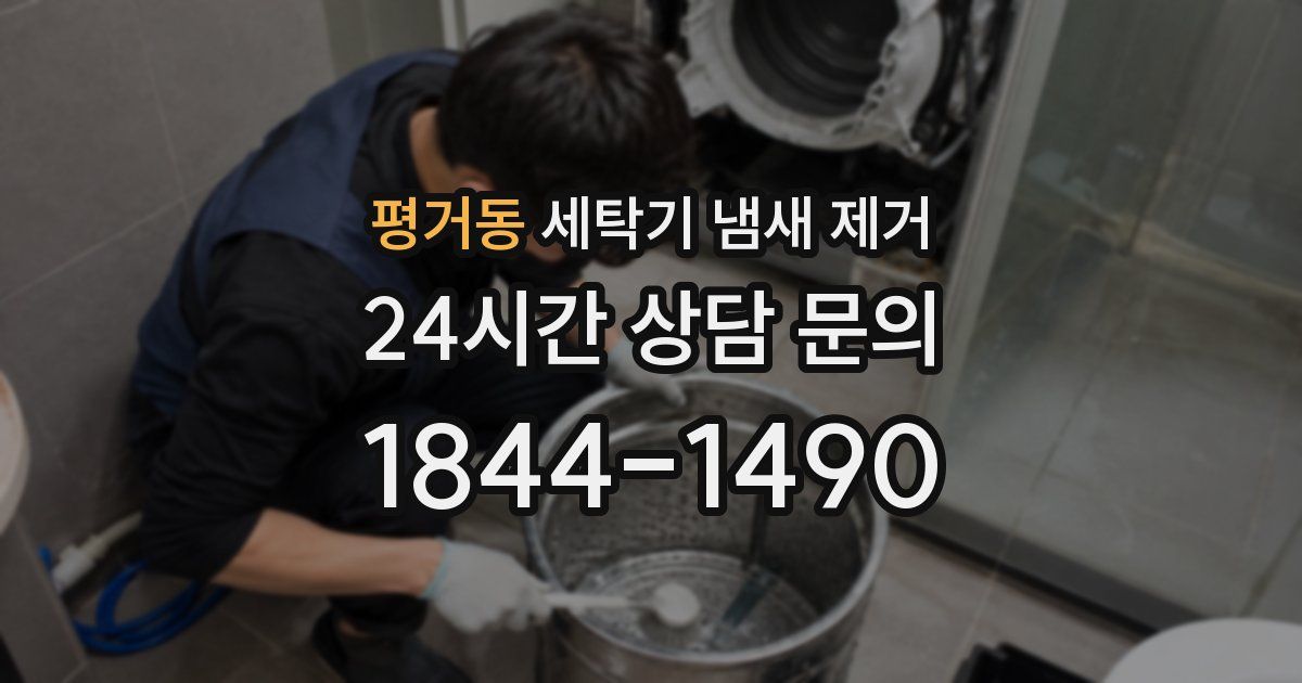 평거동 세탁기 냄새 제거