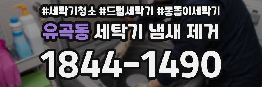 유곡동 세탁기 냄새 제거