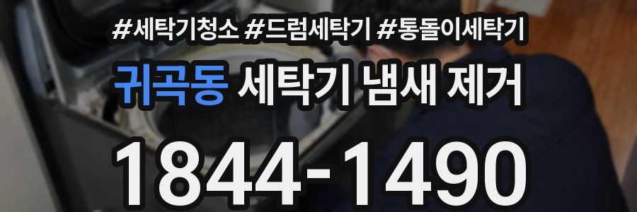 귀곡동 세탁기 냄새 제거