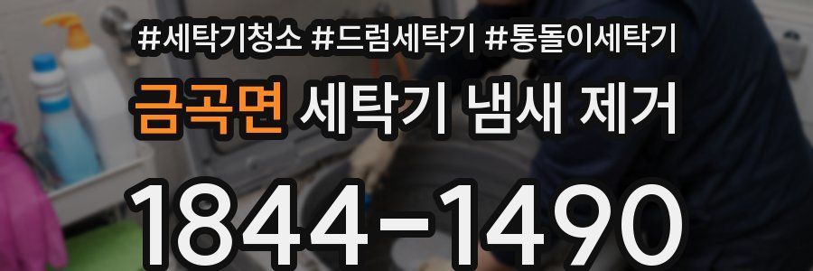 금곡면 세탁기 냄새 제거