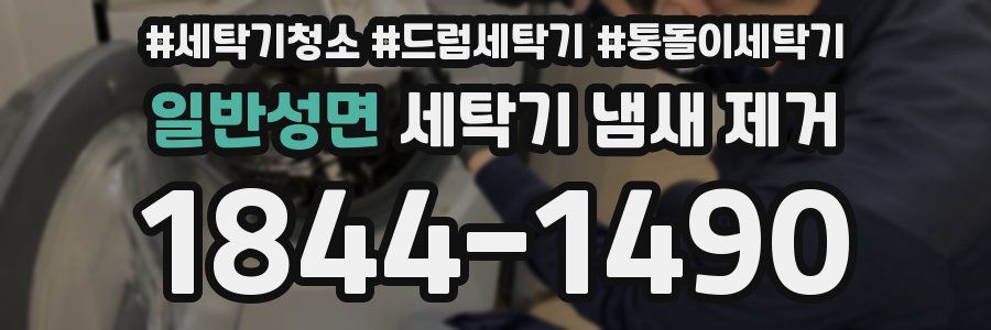 일반성면 세탁기 냄새 제거