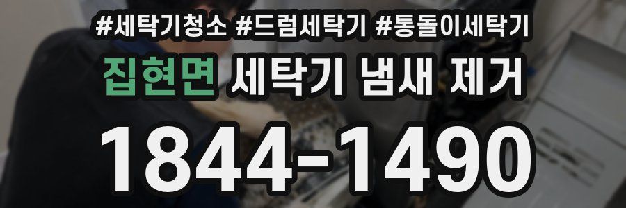 집현면 세탁기 냄새 제거