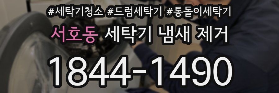 서호동 세탁기 냄새 제거