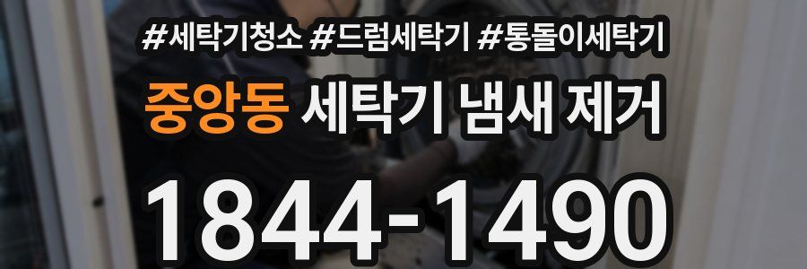 중앙동 세탁기 냄새 제거