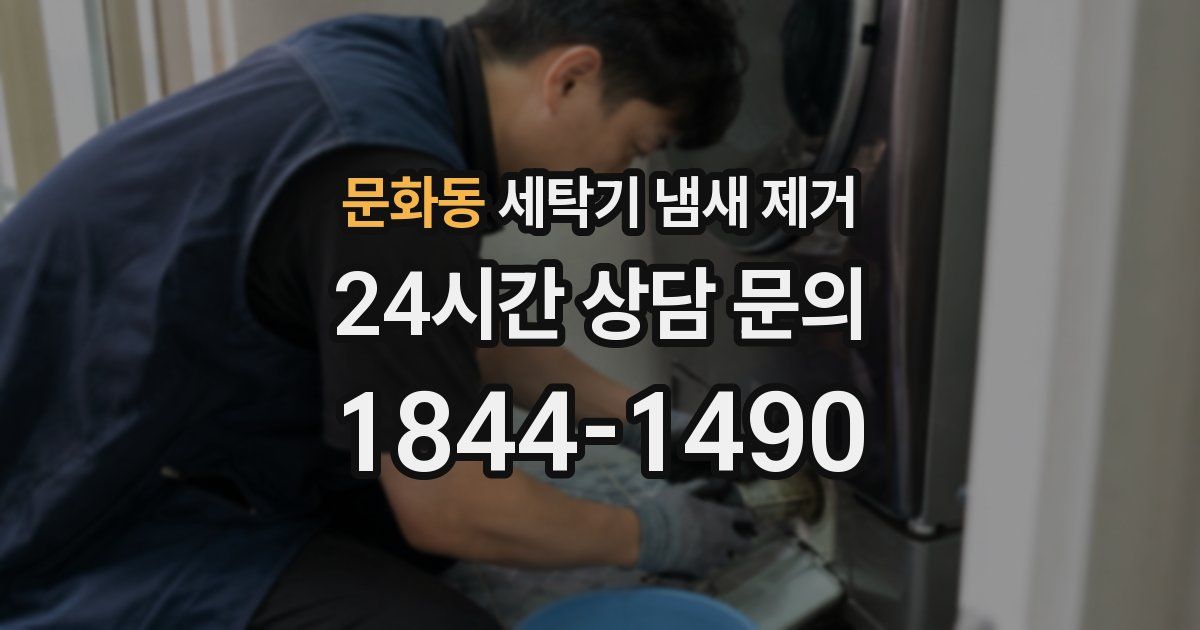 문화동 세탁기 냄새 제거