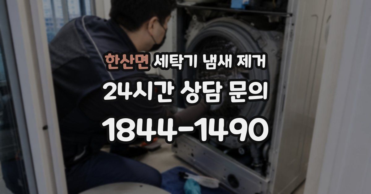 한산면 세탁기 냄새 제거