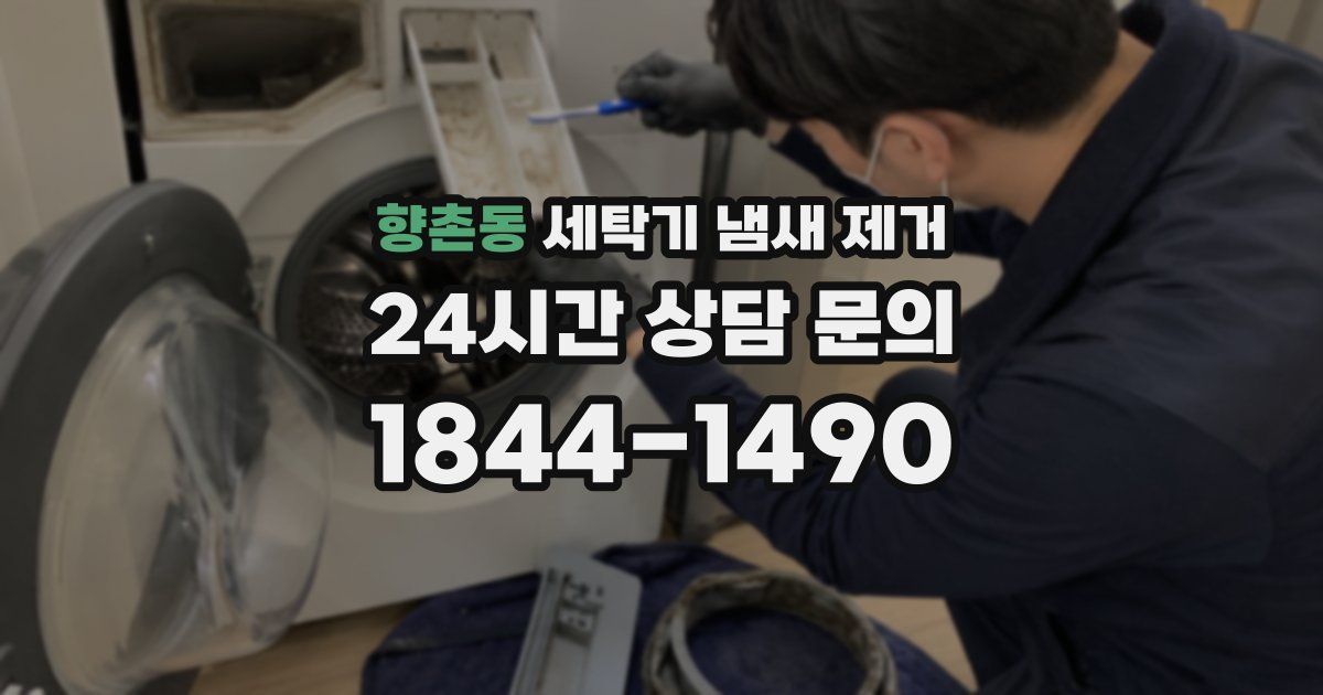 향촌동 세탁기 냄새 제거