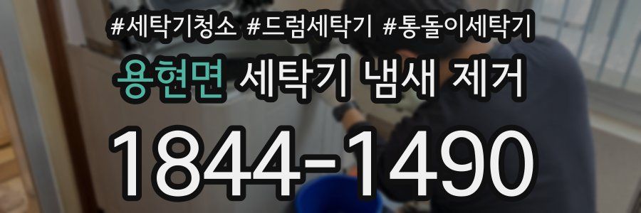 용현면 세탁기 냄새 제거