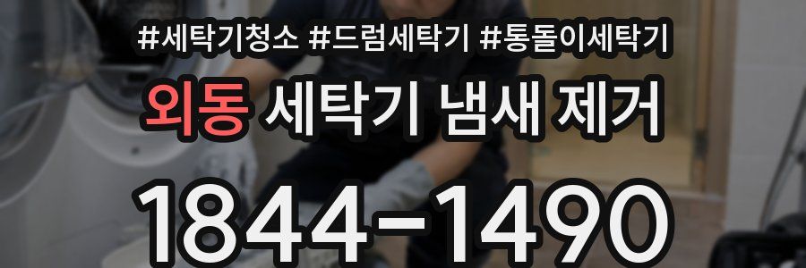 외동 세탁기 냄새 제거