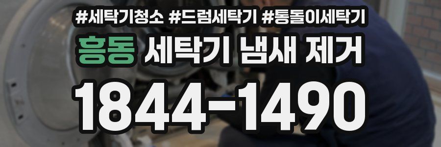 흥동 세탁기 냄새 제거