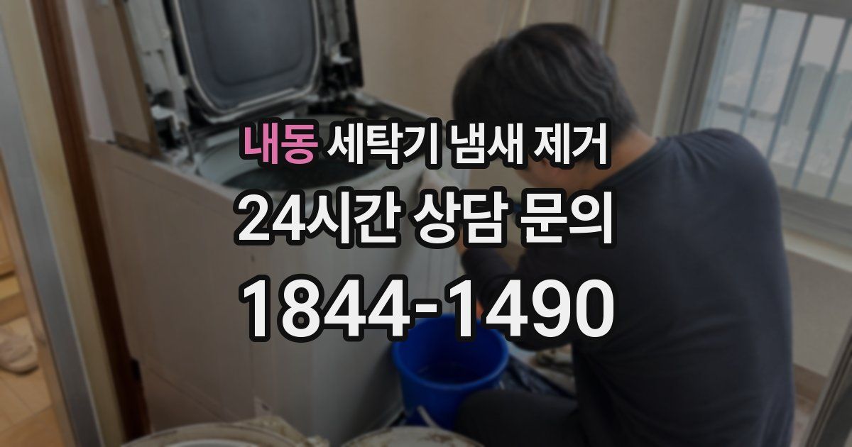내동 세탁기 냄새 제거