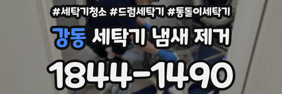 강동 세탁기 냄새 제거
