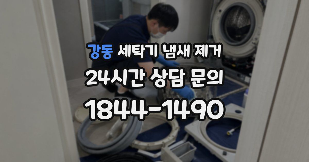 강동 세탁기 냄새 제거