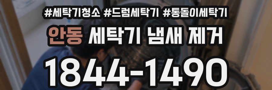 안동 세탁기 냄새 제거
