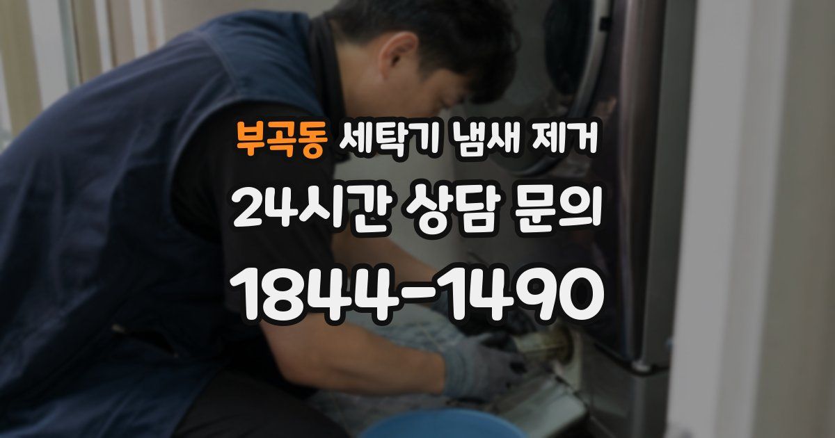 부곡동 세탁기 냄새 제거