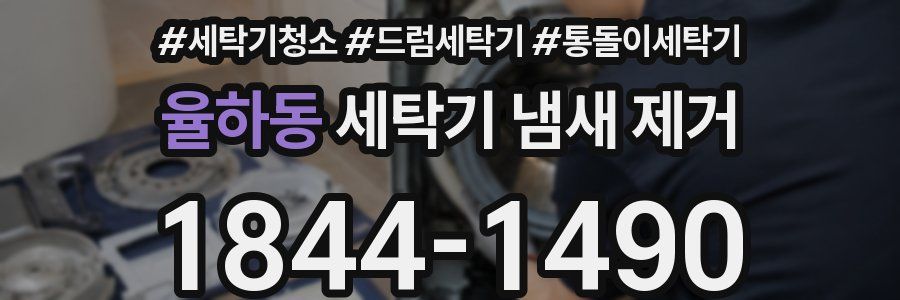 율하동 세탁기 냄새 제거