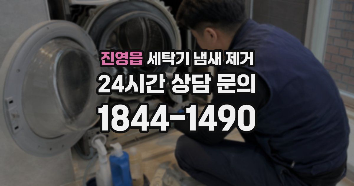 진영읍 세탁기 냄새 제거