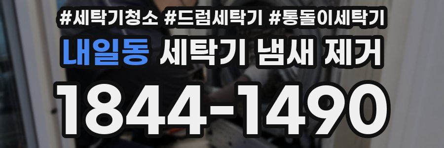 내일동 세탁기 냄새 제거
