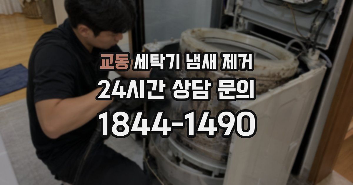 교동 세탁기 냄새 제거
