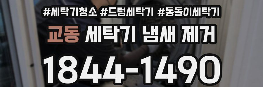 교동 세탁기 냄새 제거