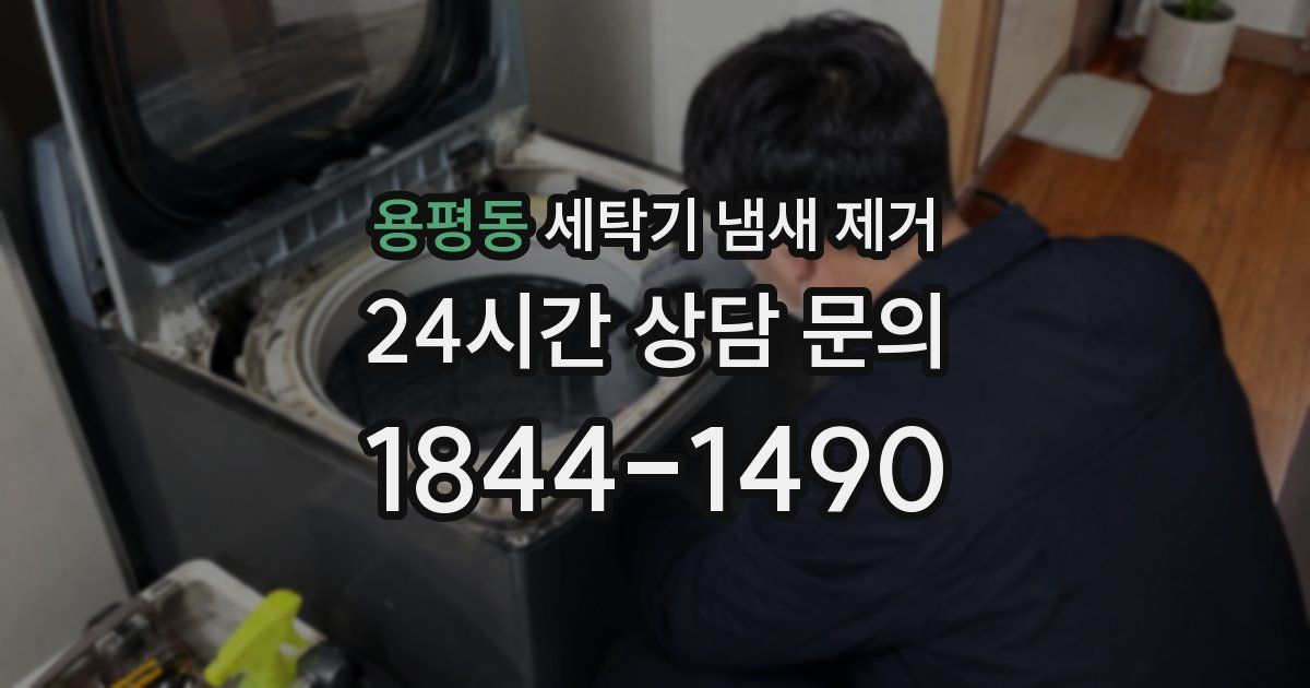 용평동 세탁기 냄새 제거