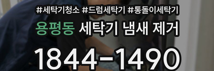 용평동 세탁기 냄새 제거