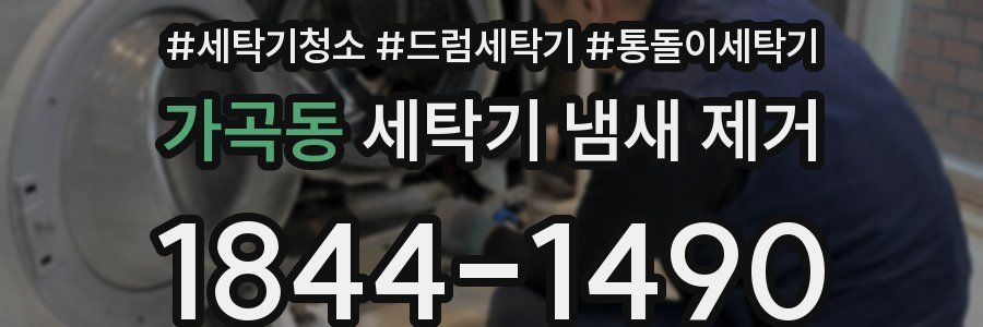 가곡동 세탁기 냄새 제거