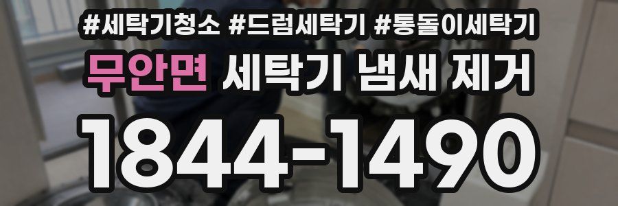 무안면 세탁기 냄새 제거