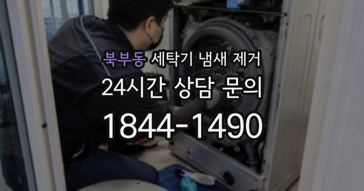 북부동 세탁기 냄새 제거