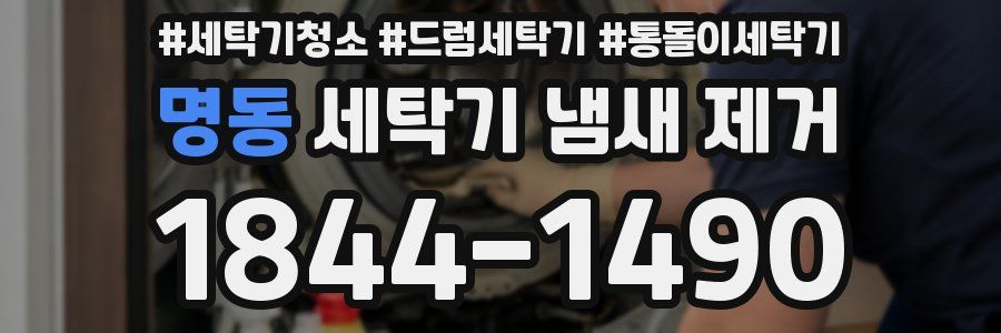 명동 세탁기 냄새 제거