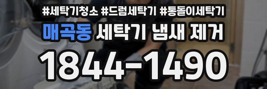 매곡동 세탁기 냄새 제거