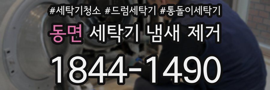 동면 세탁기 냄새 제거