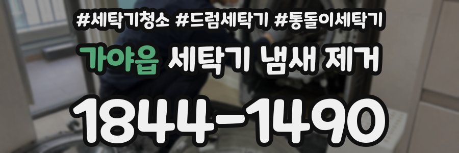 가야읍 세탁기 냄새 제거