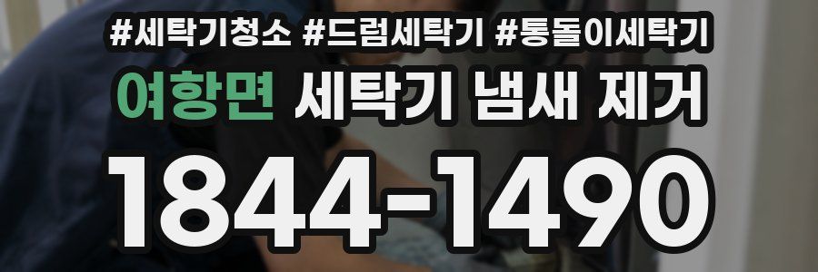 여항면 세탁기 냄새 제거