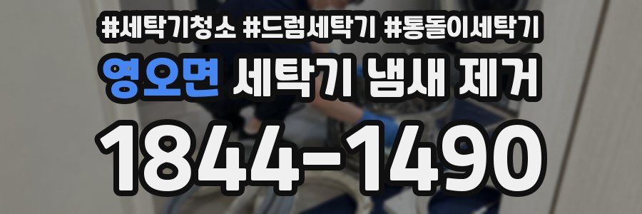 영오면 세탁기 냄새 제거