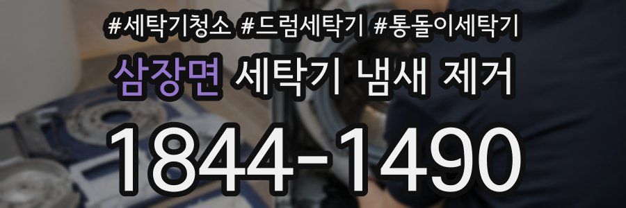 삼장면 세탁기 냄새 제거