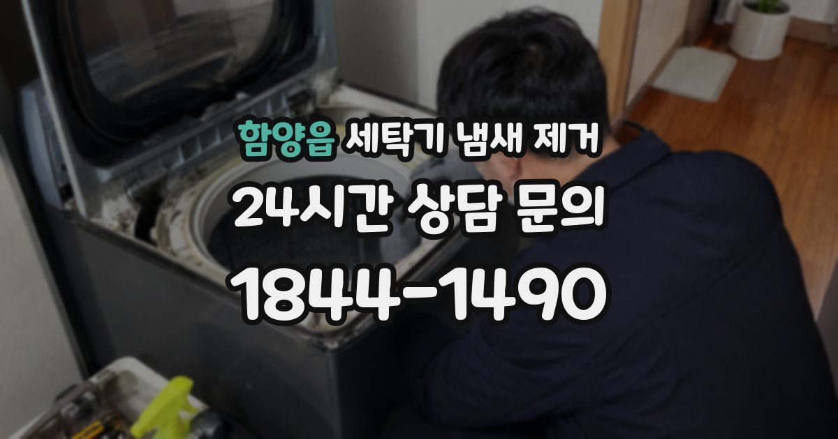 함양읍 세탁기 냄새 제거